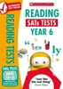 SATS TESTS KS2 SATS NEW YEAR 6  SATS READING TEST